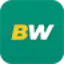 BetWinner Casino Logo